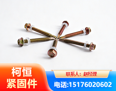 乌兰察布六角钻尾丝